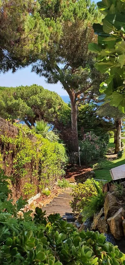 Al lado del mar Villa Tortuga 12 Lloret de Mar España